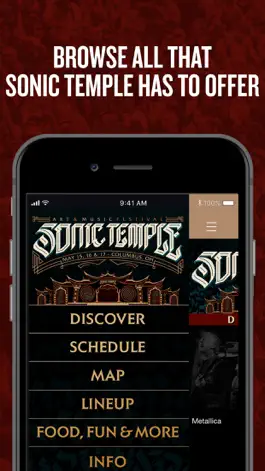 Game screenshot Sonic Temple Festival apk