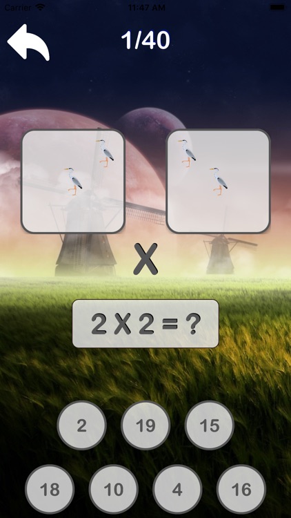 BirdsCountMultiplication