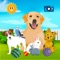 Dogs, cats, hamsters and rabbits - all their favourite pets await them in our new game