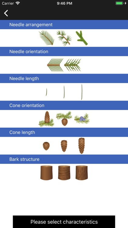 Conifers screenshot-3