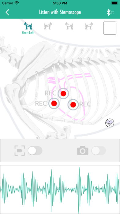 PetStemo: Monitor pet health screenshot 2