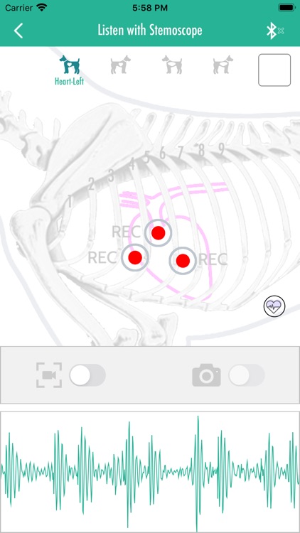 PetStemo: Monitor pet health