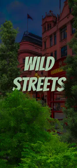 Game screenshot Wild Streets mod apk