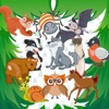 KidsDi: Forest animals puzzle