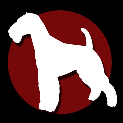 dog's collection icon