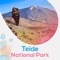 Looking for an unforgettable tourism experience in Teide National Park