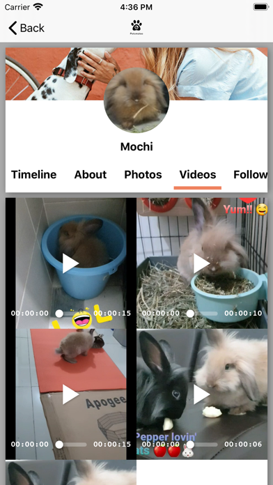 PetsMaloo 4
