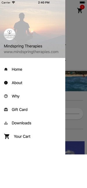 Mindspring Therapies(圖2)-速報App