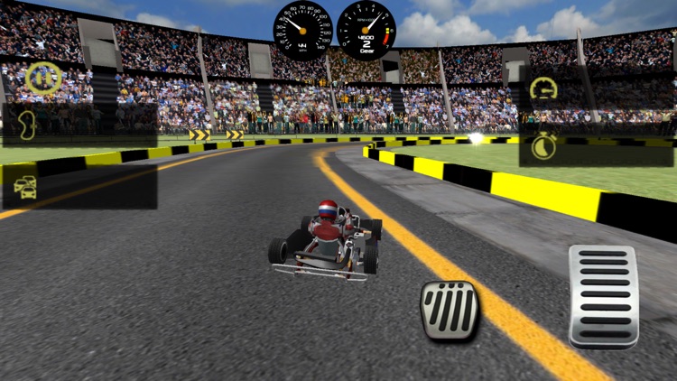 Kart Racing 3D Ultimate Race screenshot-7