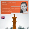 Fundamentals of Chess Openings