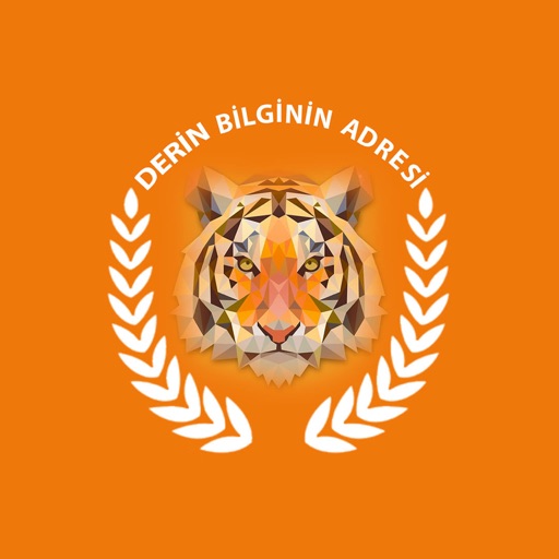 Derin Eğitim