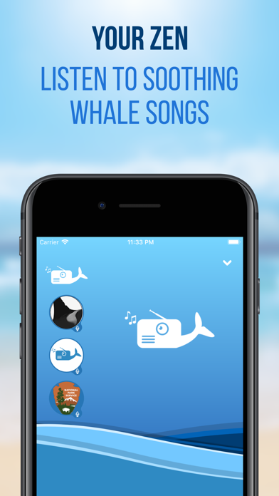 How to cancel & delete Whale Radio from iphone & ipad 1