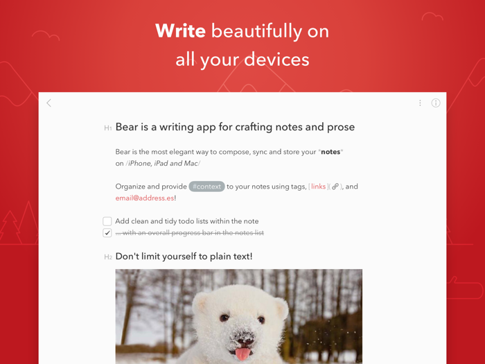 Bear