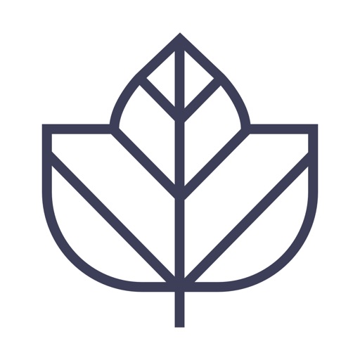 Ivy.co