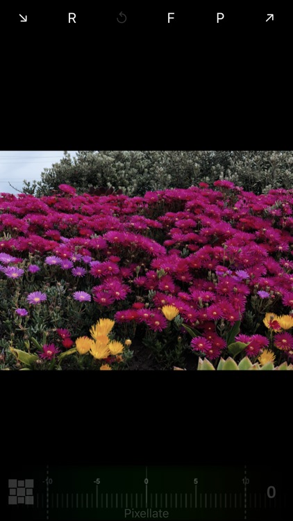 Imaage Glitch Filters