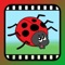 49 HD video clips of bugs & insects