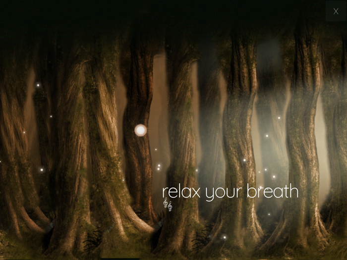 Enchanted Forest Meditation