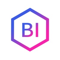 블록인사이트 (Blockinsight)  PC 용