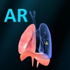AR Respiratory system physiolo