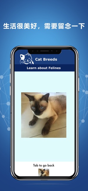 CatFetch(圖2)-速報App