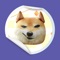 Cool Memes Stickers will provide you with colorful stickers, a variety of novelty stickers to download, and support for custom stickers, create your own stickers, let you fall in love with it