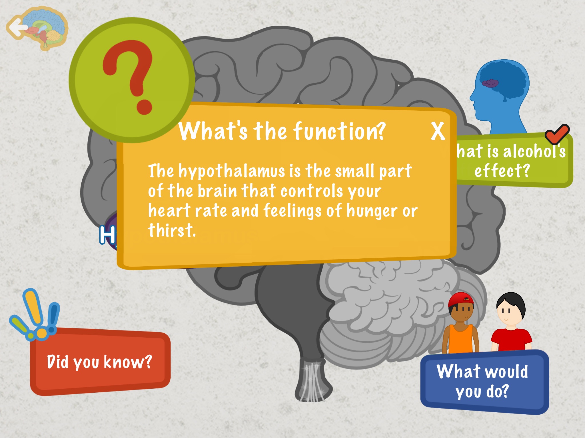 Alcohol's Effects on the Brain screenshot 3