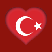 20 Turkish Dictionaries