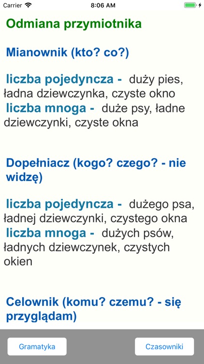 Polish Verbs