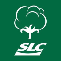 SLC Cotton pour PC