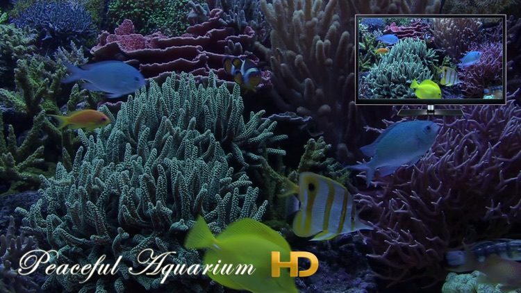 Peaceful Aquarium HD