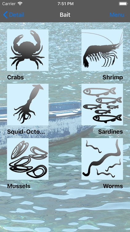 Fish Bait Lure Lite Quiz 2020 screenshot-7