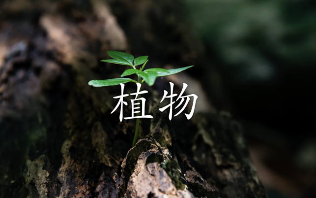 學習多種語言(圖6)-速報App