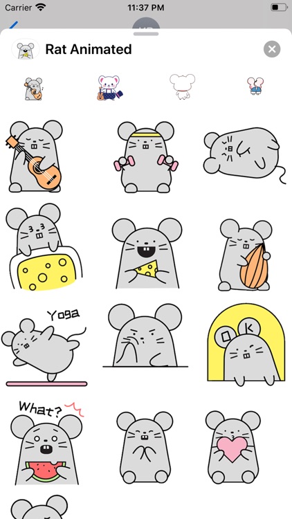 Rat Animated