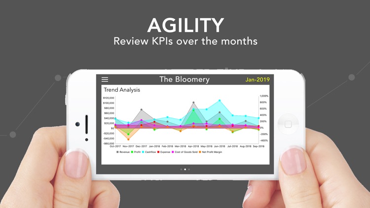 EpicLedger Financial Dashboard