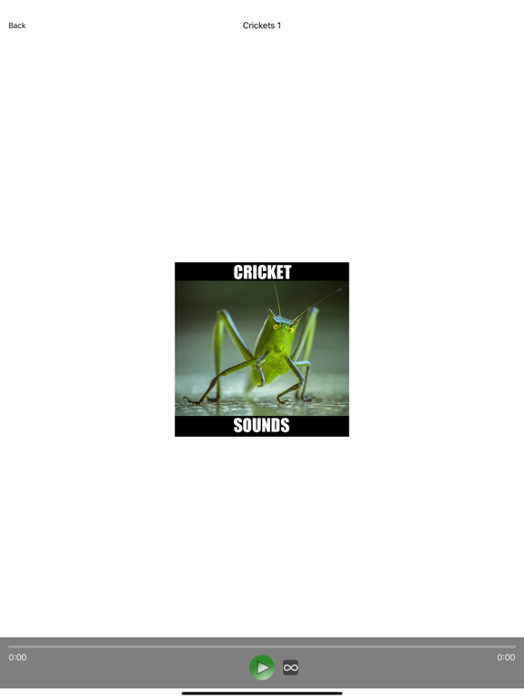 Crickets Sounds! Insect Sounds screenshot 4