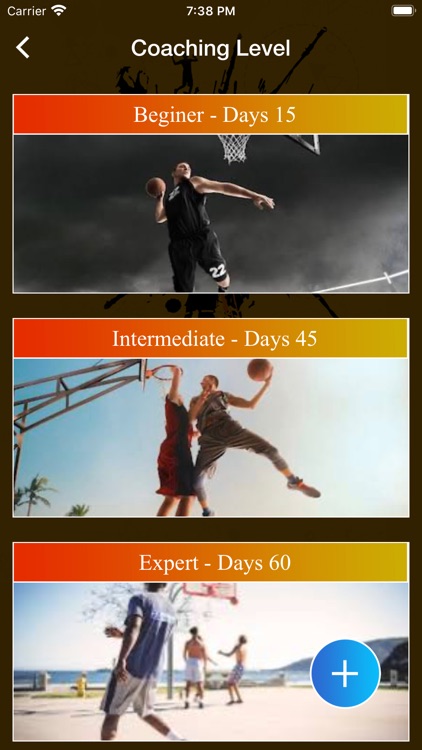 Streetball Coaching Owners Kit screenshot-4