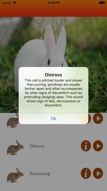 Rabbit Hunting calls screenshot-5