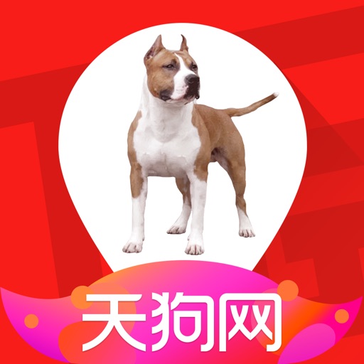 天狗网 app icon图