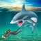 Shark Simulator Attack game is below