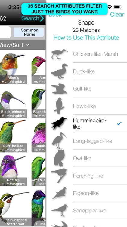 iBird Ultimate Guide to Birds screenshot-7
