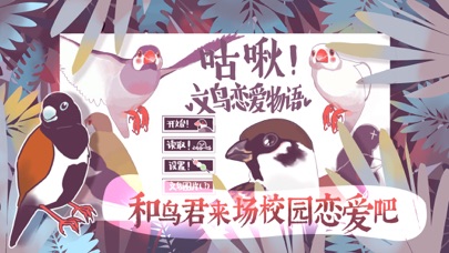 文鸟恋爱物语 screenshot1