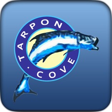 Activities of Tarpon Cove Yacht & Racquet