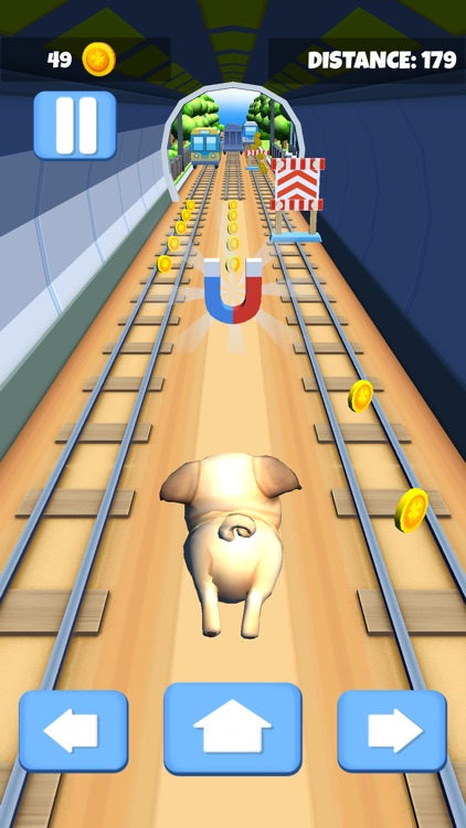 Fun puppy run screenshot-4