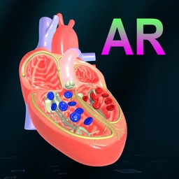 AR Heart - An incredible pump