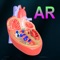 AR Heart - An incredible pump is educational and medical learning app