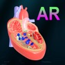 Get AR Heart - An incredible pump for iOS, iPhone, iPad Aso Report