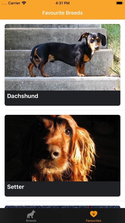 Catch it - Dog Breeds Finder