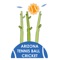 Welcome to the official Arizona Tennis Ball Cricket (AZTBC) app