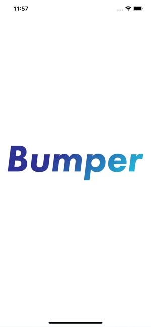 Bumper Rides - Rider