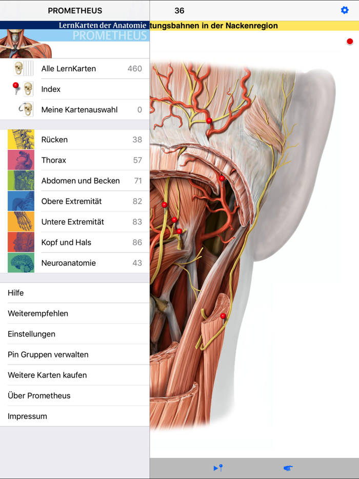 PROMETHEUS - LernKarten